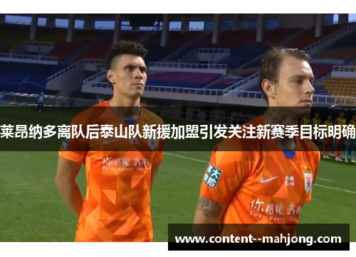 莱昂纳多离队后泰山队新援加盟引发关注新赛季目标明确
