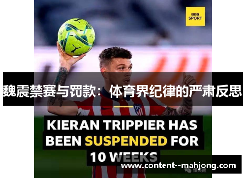 魏震禁赛与罚款：体育界纪律的严肃反思